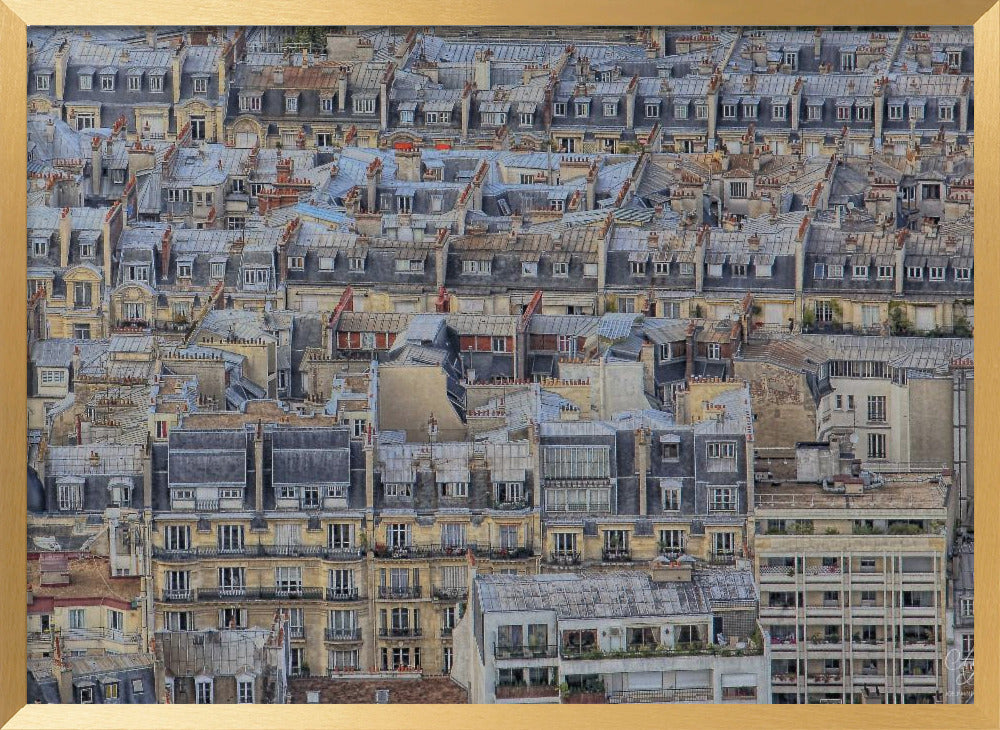 Parisian roofs Poster