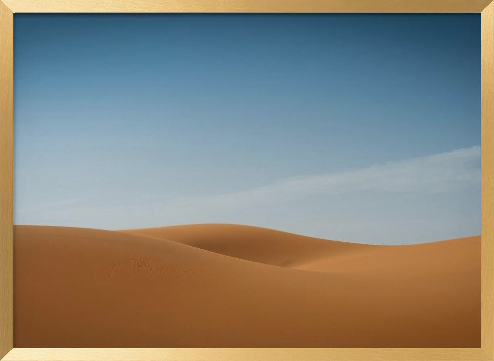 Sensual desert Poster