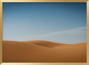 Sensual desert Poster