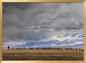 At the foot of the Tianshan Mountains Poster