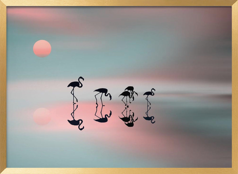 Family flamingos. Poster