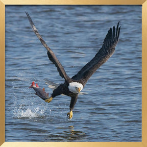 Lunch over Mississippi Poster