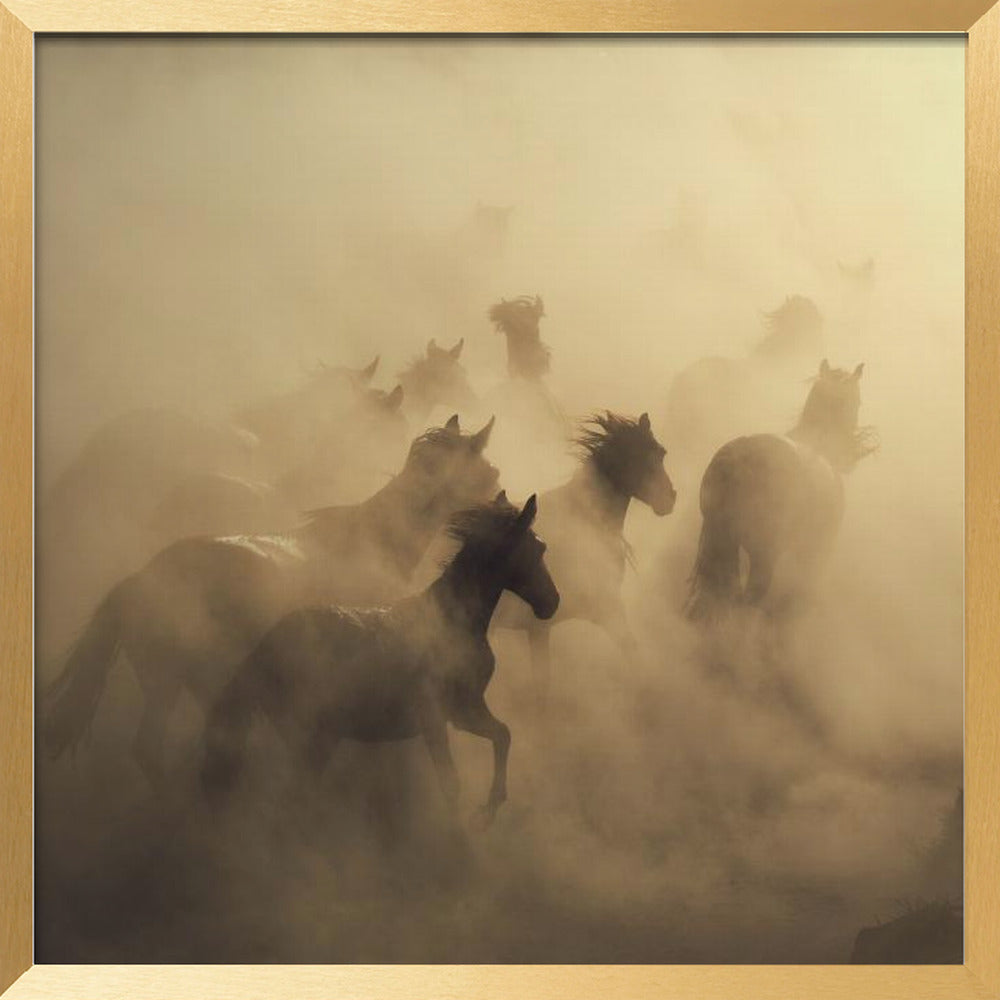 migration of horses Poster