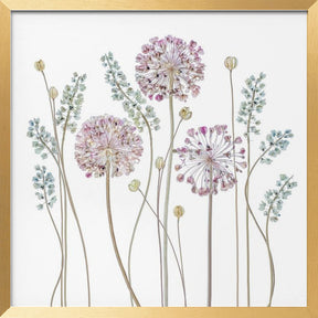 Allium Poster