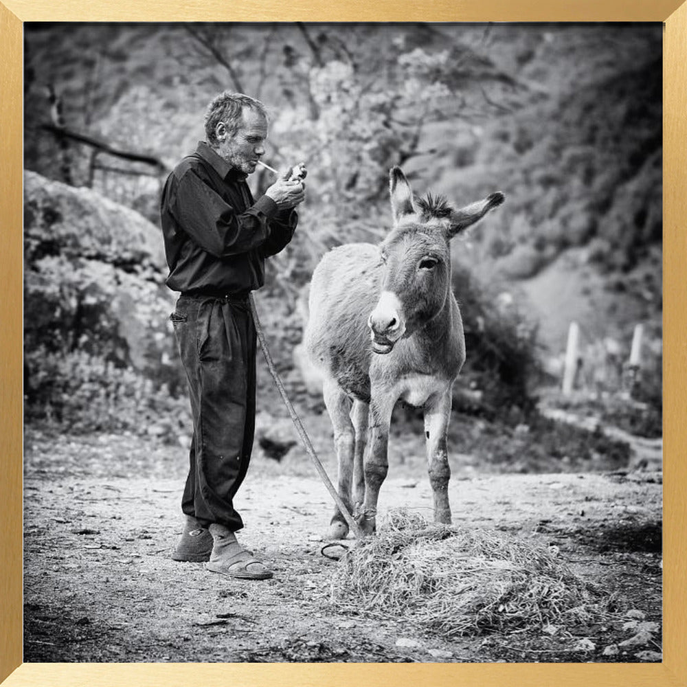 Vova and his donkey Poster