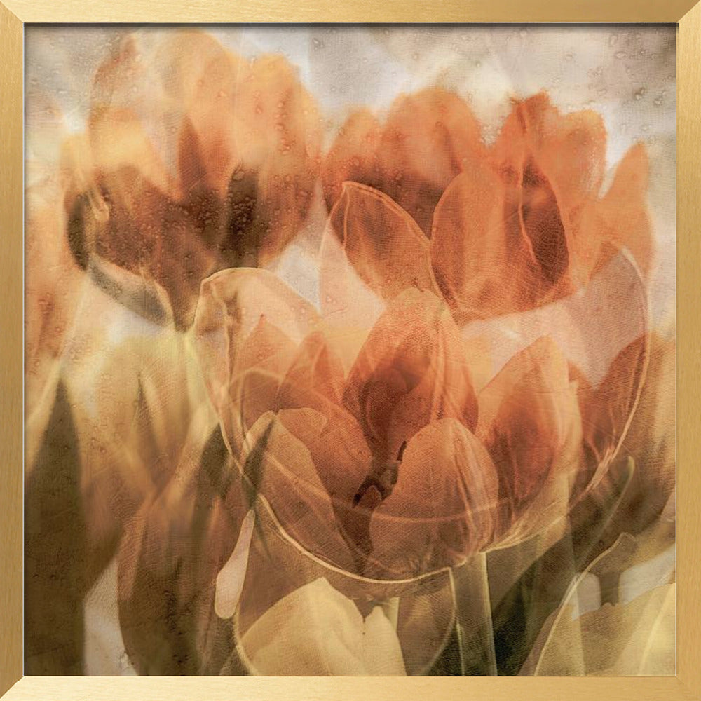 Tulips Poster