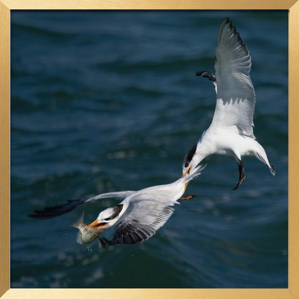 Robbery on the High Sea Poster