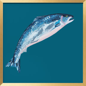 Leaping Salmon Poster