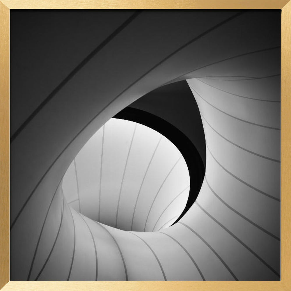 Winton Gallery Ceiling #7 Poster