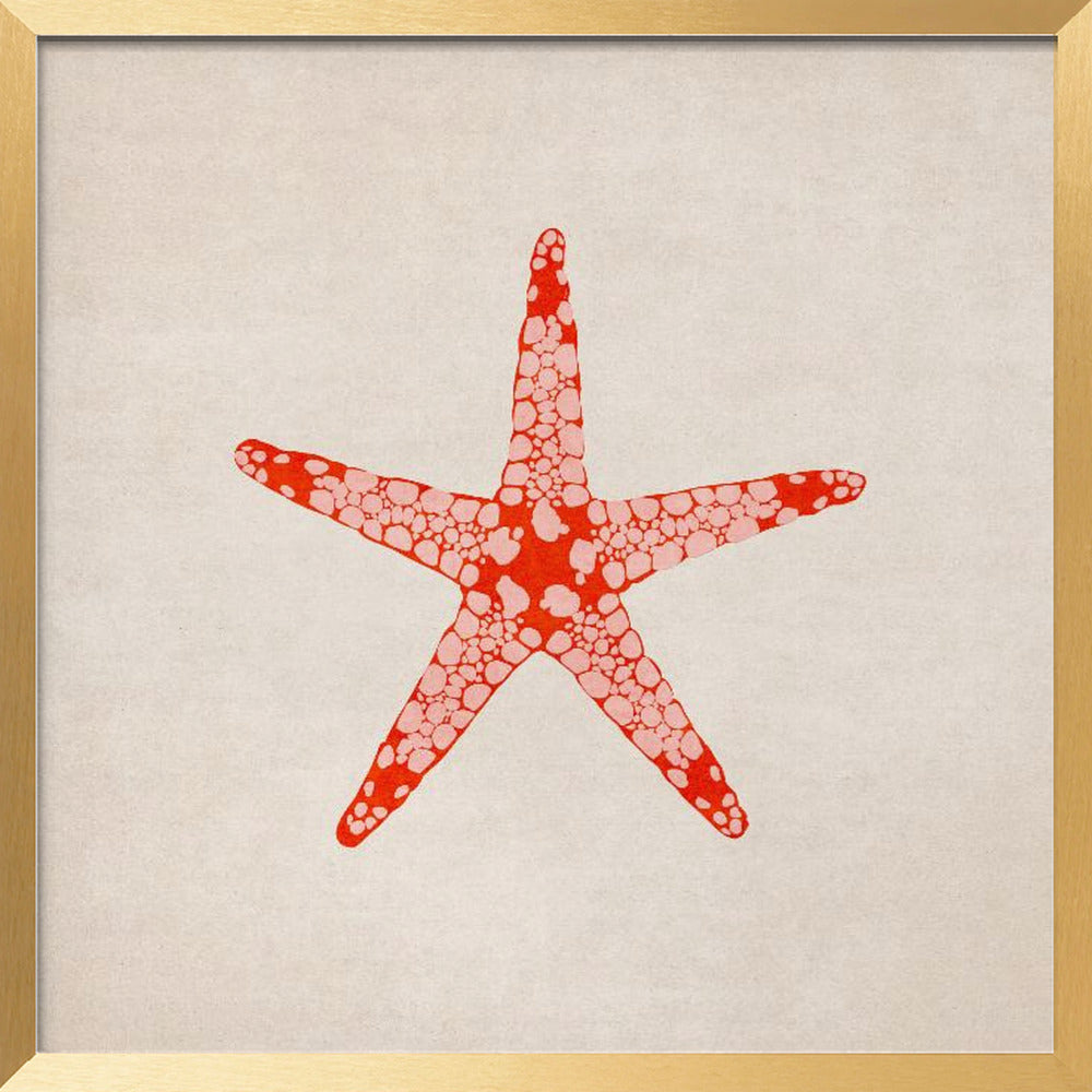 Sea Star Poster