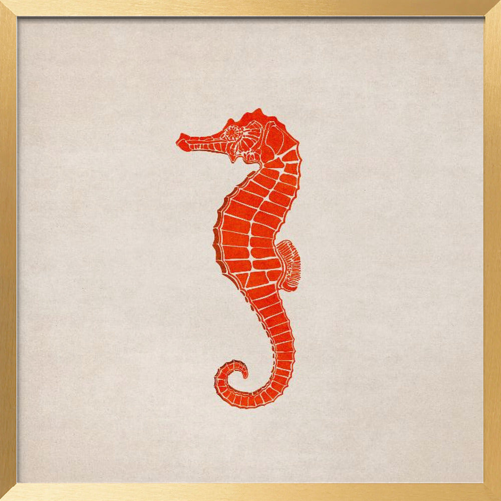 Sea Horse Poster