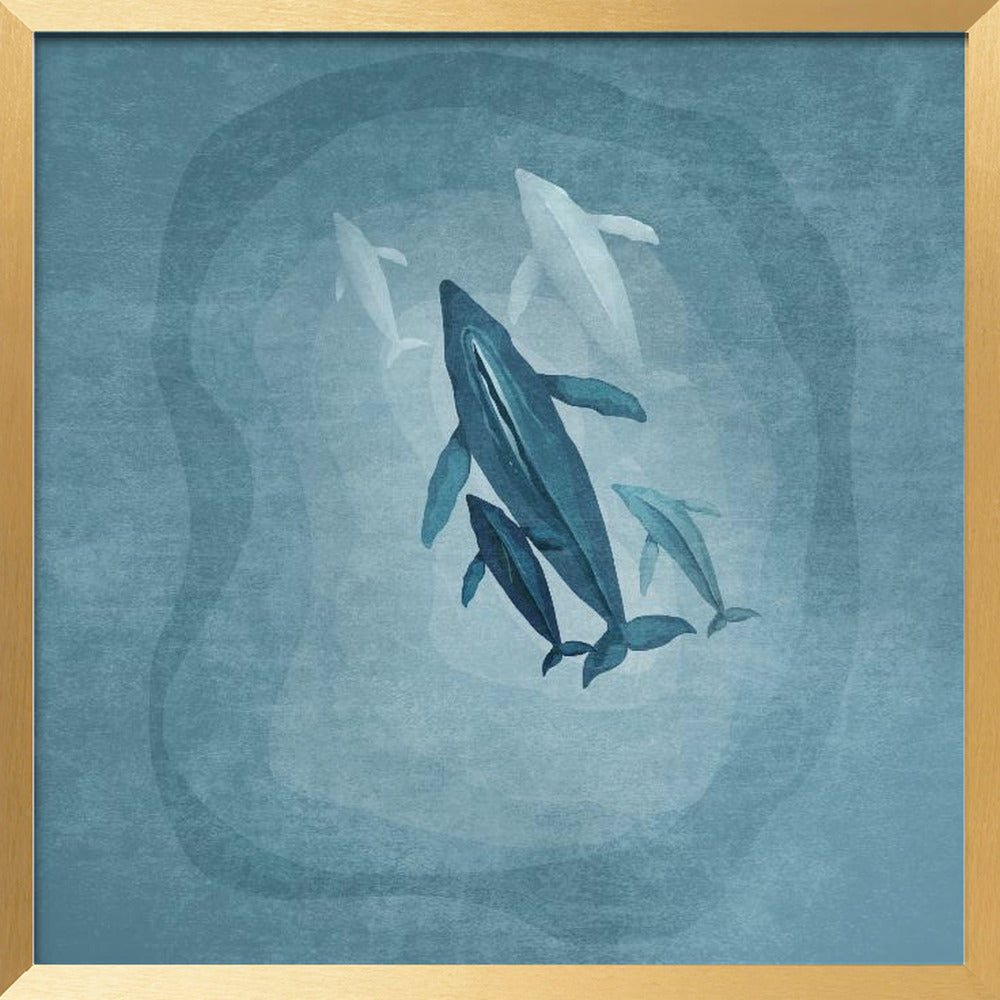 Whalesfamily Poster