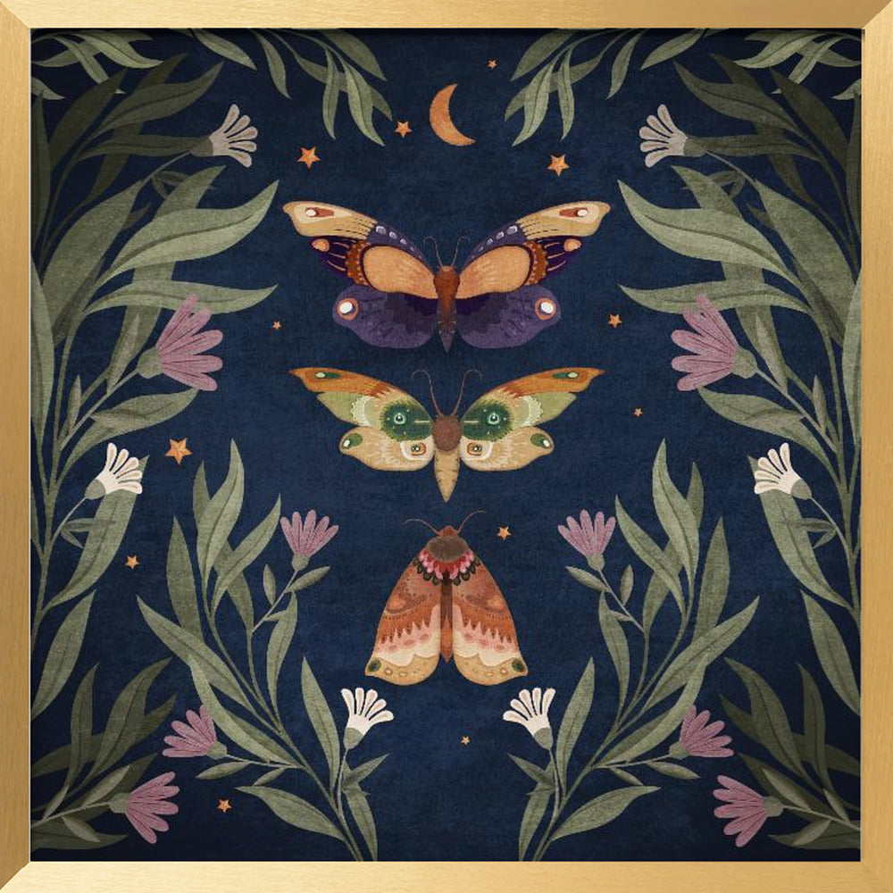 Butterfly Night Fly Poster