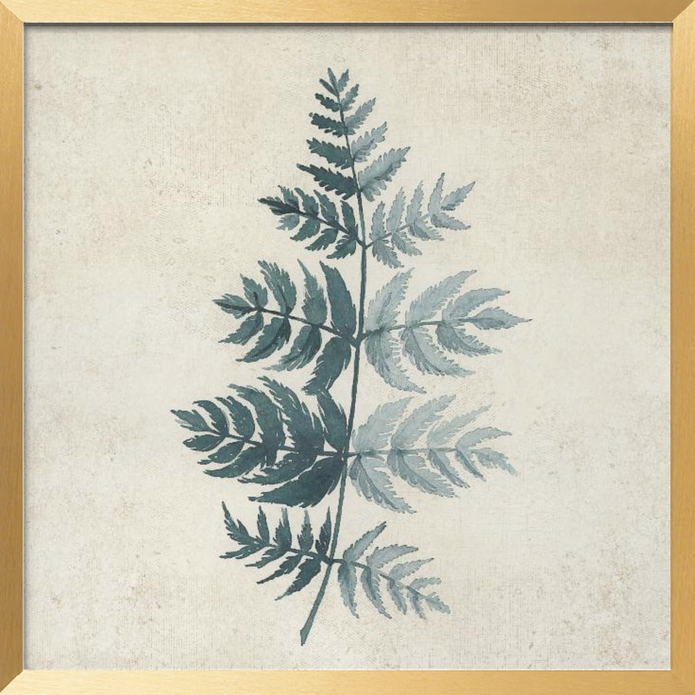 Teal watercolor fern 4 Poster