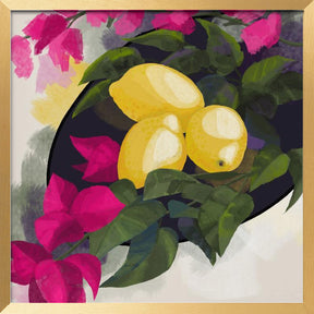 Bougainvillea and lemons Poster