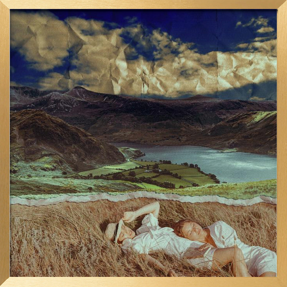 FRIENDS IN A FIELD Poster