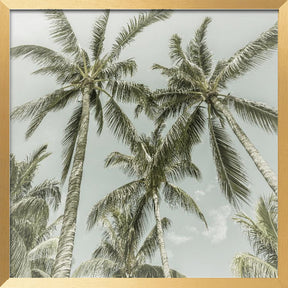 Lovely Vintage Palm Trees Poster