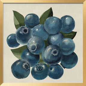 Blueberries Poster