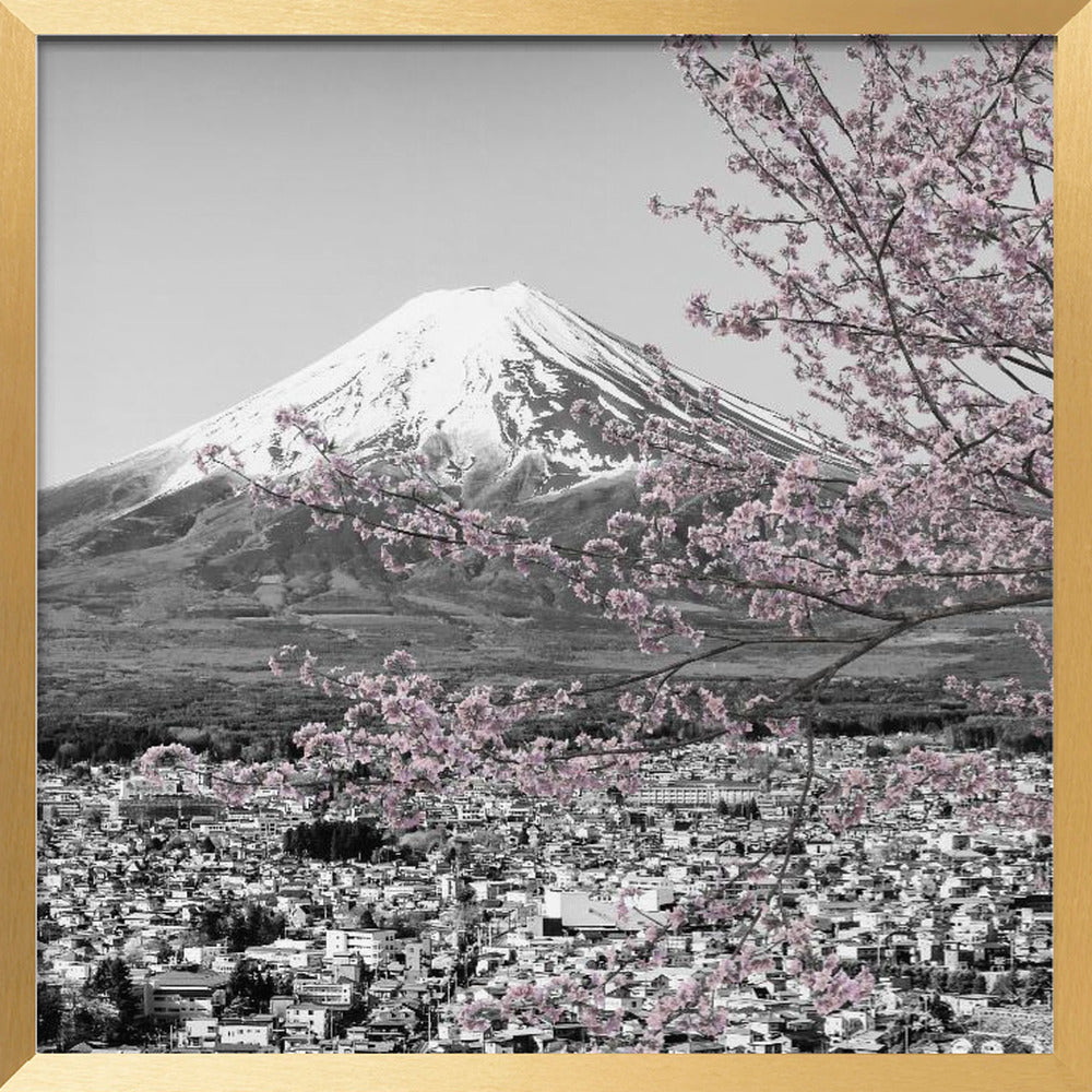 Charming view of Mount Fuji during cherry blossom season - colorkey Poster