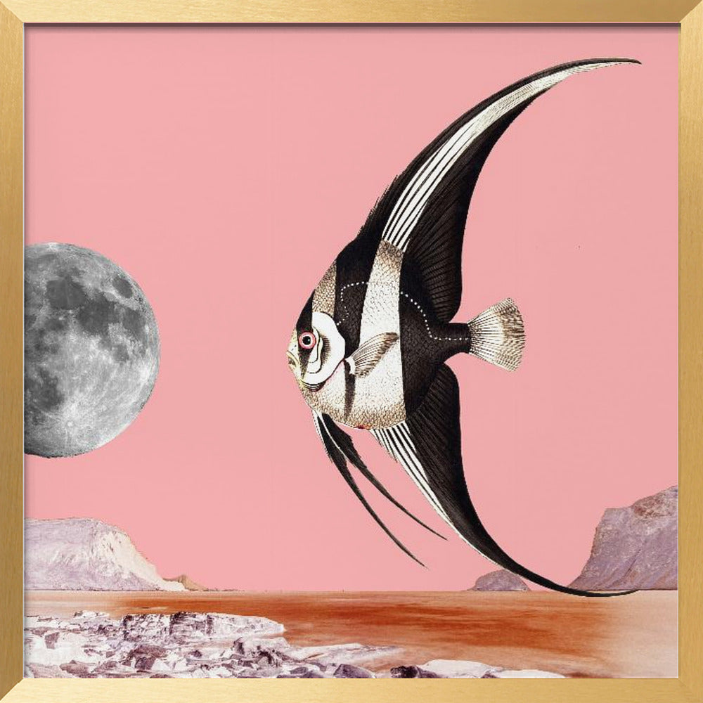 Plenty of Fish In the Sea Pink - Surreal Collage Poster