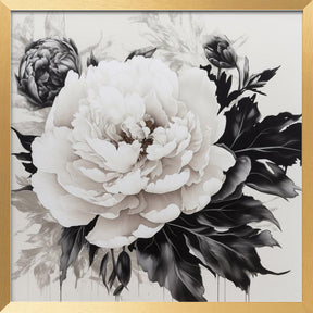 Peonies Sketch Poster