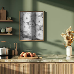 Scattered ranunculus grayscale I Poster