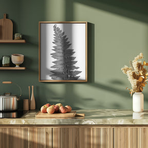 Gray fern leaf Poster