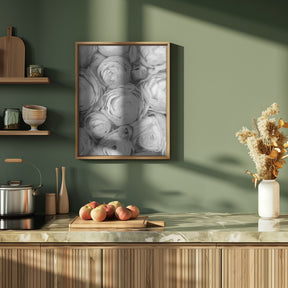 Gray ranunculus Poster