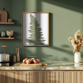 Green fern Poster