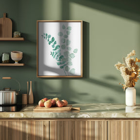 Two eucalyptus branches Poster