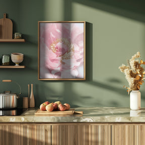 Blush peony I Poster