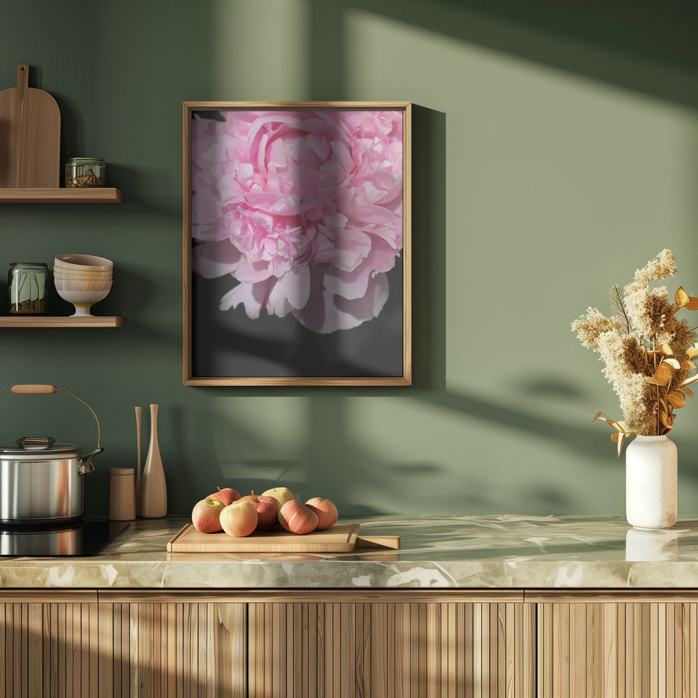 Pink peony V Poster