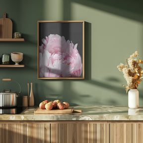 Pink peony VIII Poster