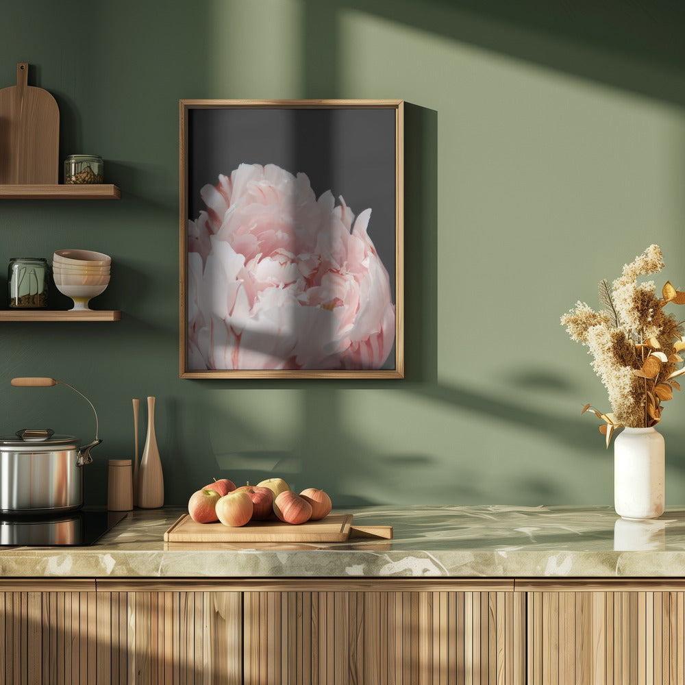 Blush peony VIII Poster