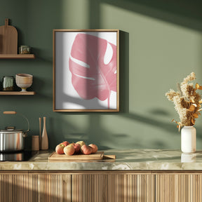 Pink monstera leaf Poster