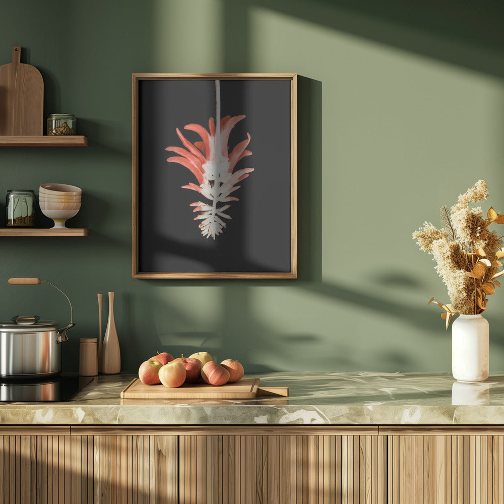 Coral Tree Flower Poster