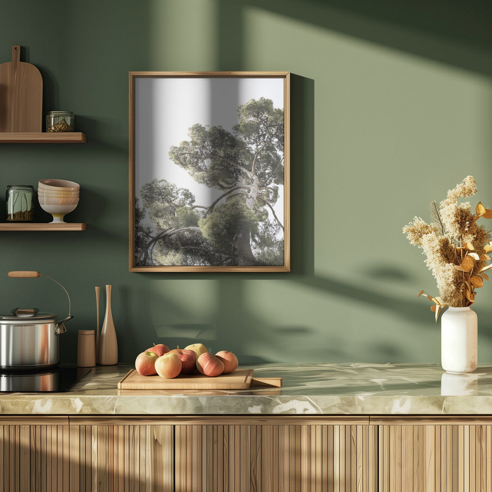 Japanese Garden 01 Poster