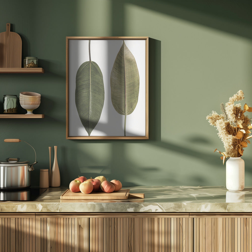 Leaf Study 05 Poster