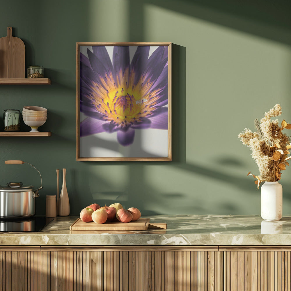 Water Lilly Poster