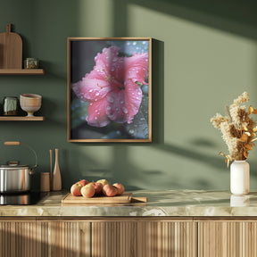 Pink Hibiscus Poster