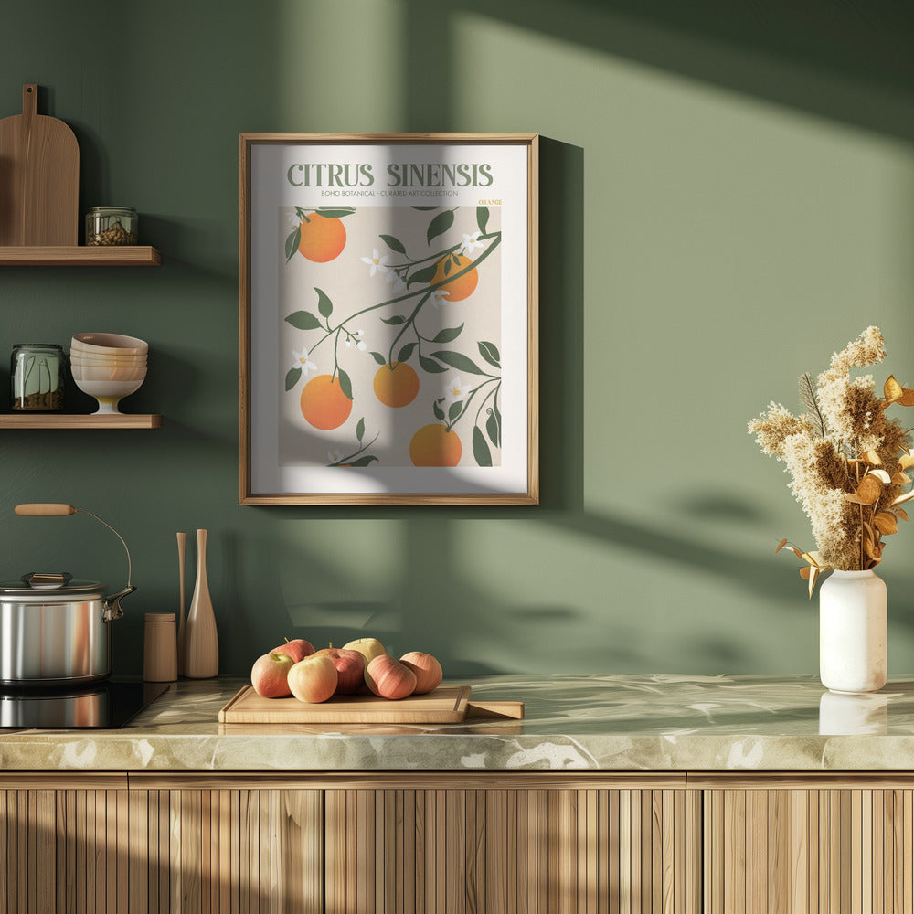 Citrus Sinensis - Orange Poster