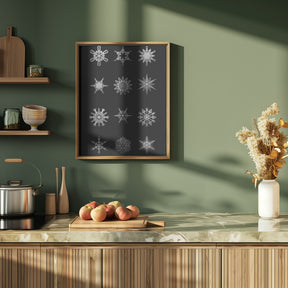 Twelve geometric snowflakes in black Poster