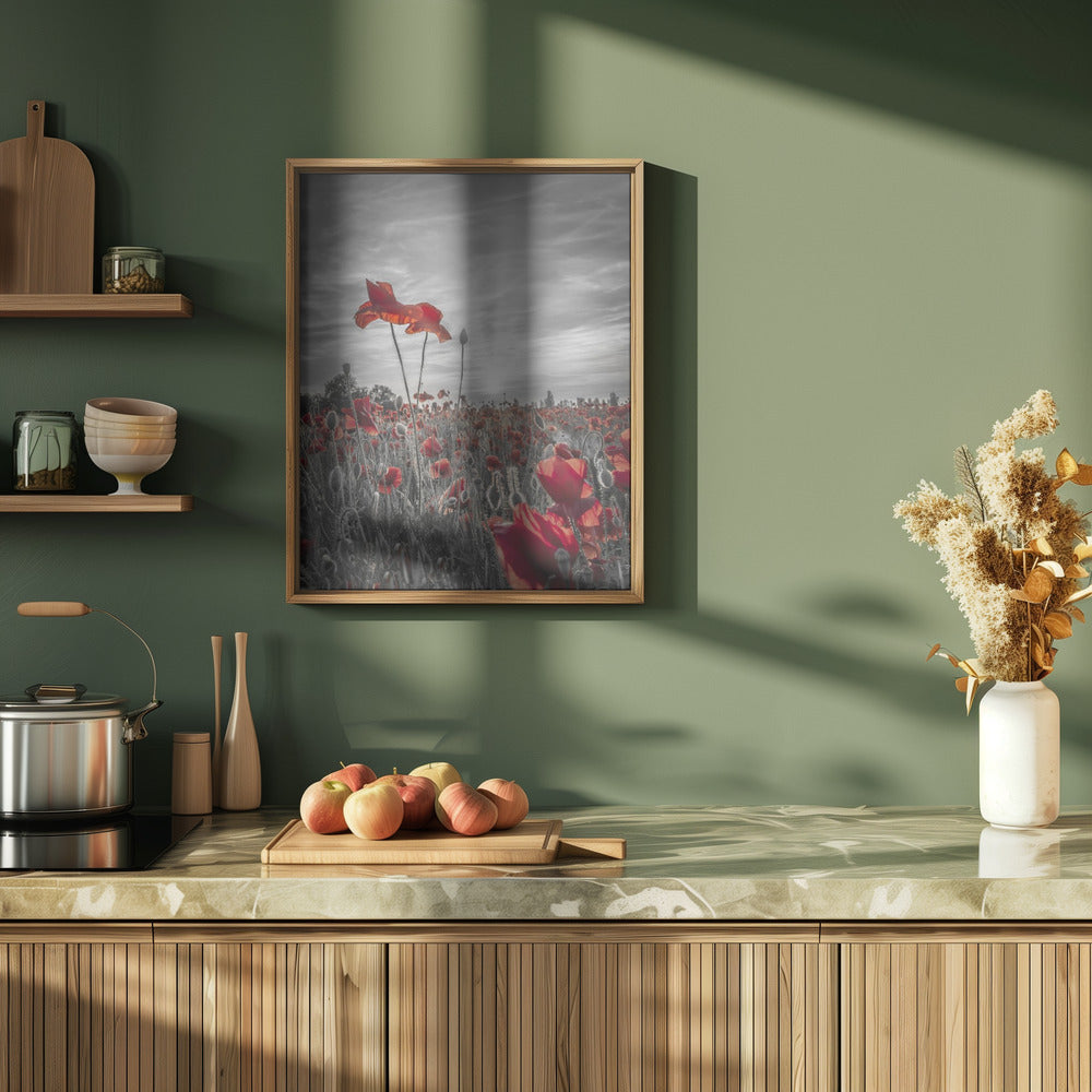 Poppies in sunset | colorkey Poster
