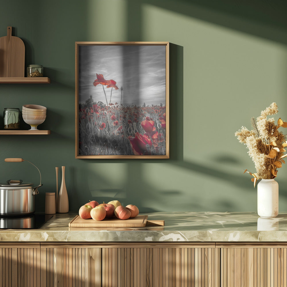 Poppies in sunset | colorkey Poster