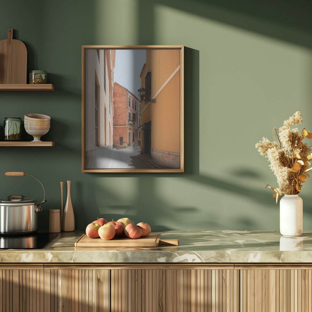 Terracotta Street Poster