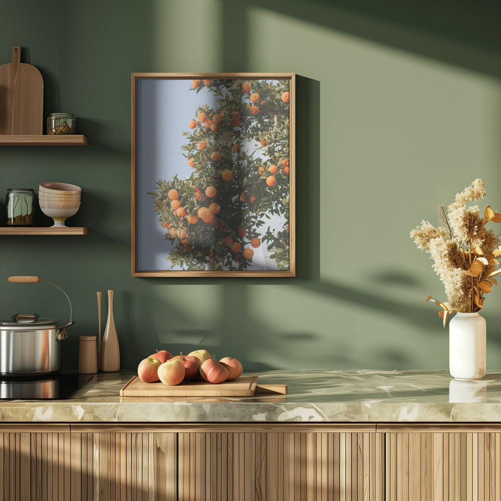 Oranges in Seville Poster