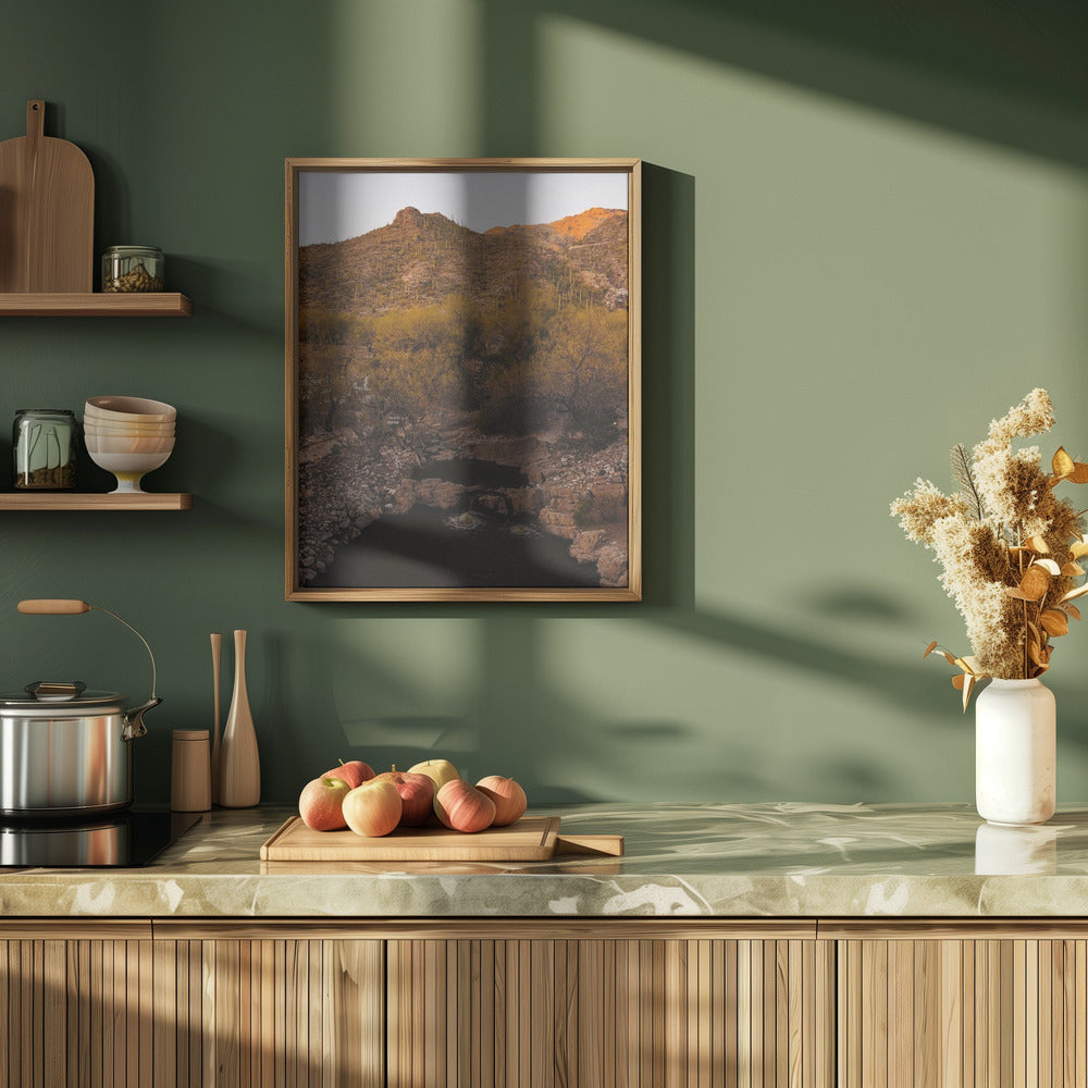 Ventana Canyon Poster