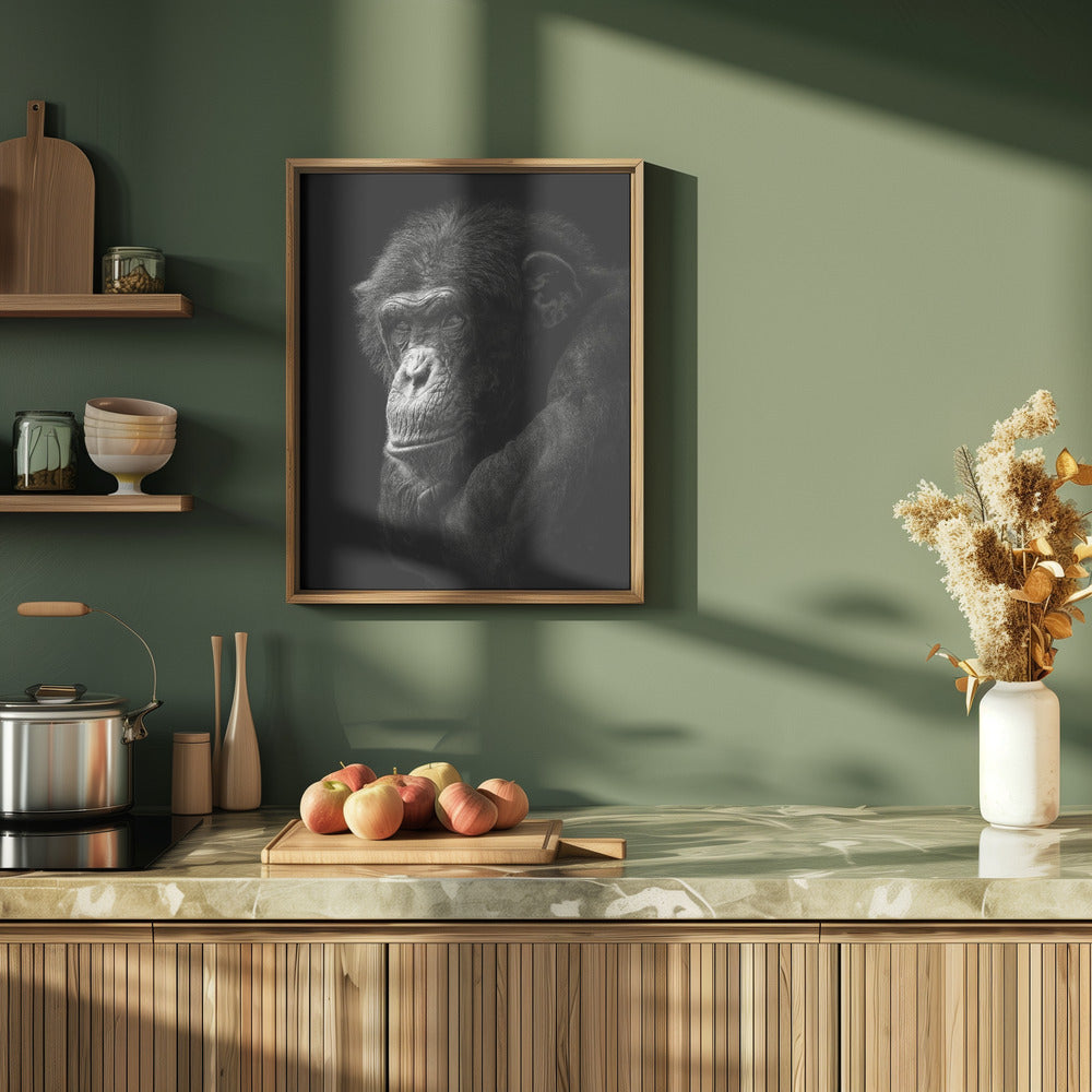 Chimpanzee Poster