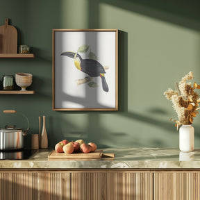 Osculant Toucan Poster