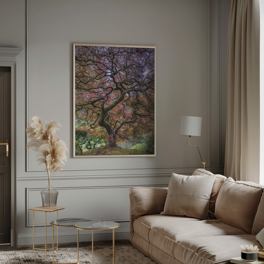 Japanese Maple Tree Poster